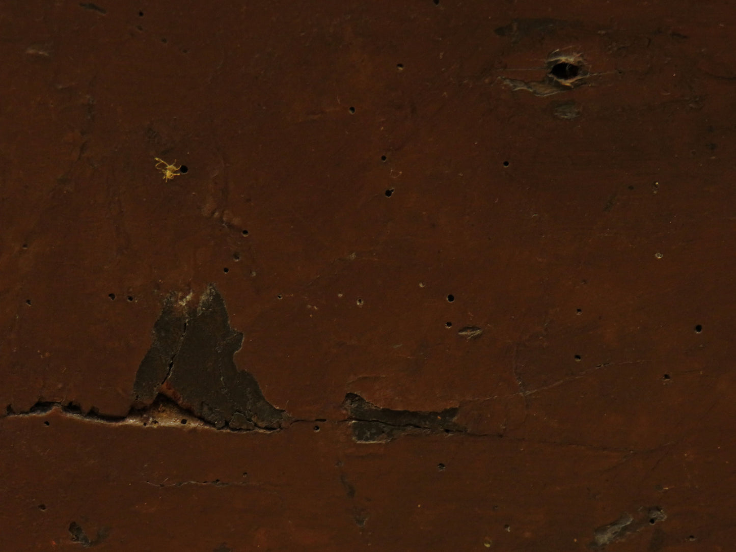 Old Painted Wooden Carriage Trunk