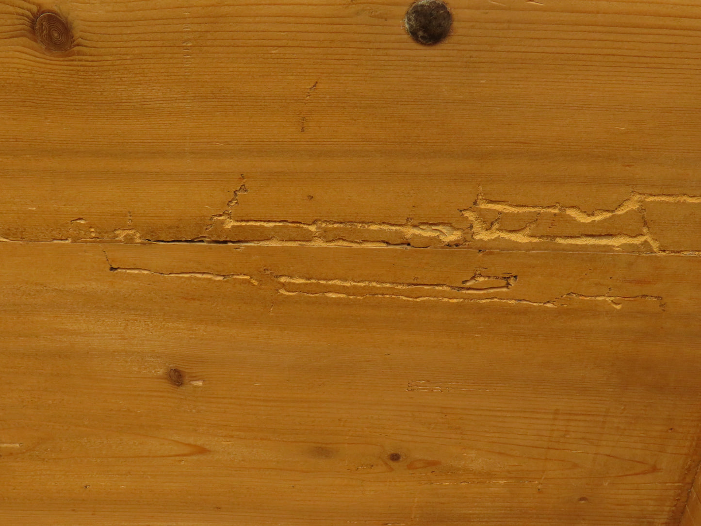 Large Antique Pine Mule Chest
