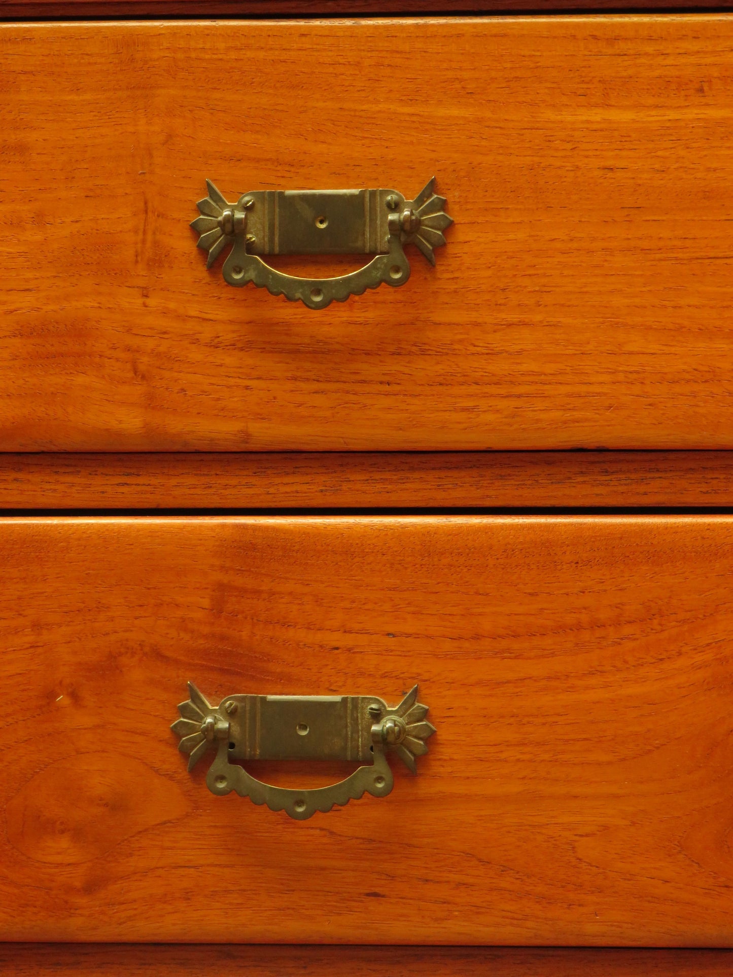 Antique Camphor Wood Chest of Drawers