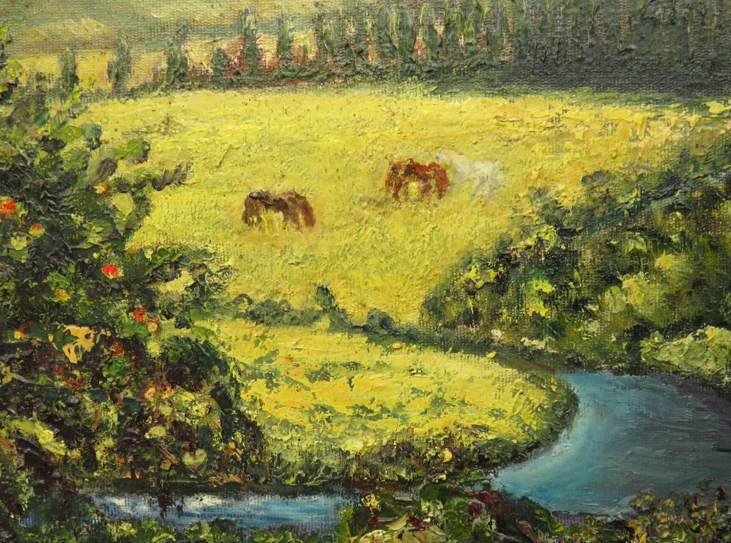 Vintage Framed Oil On Board, Argentina, Provincia del Neuquen, 1989
