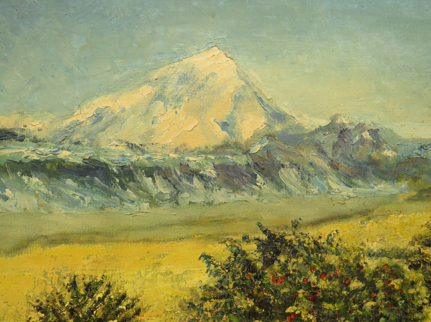 Vintage Framed Oil On Board, Argentina, Provincia del Neuquen, 1989