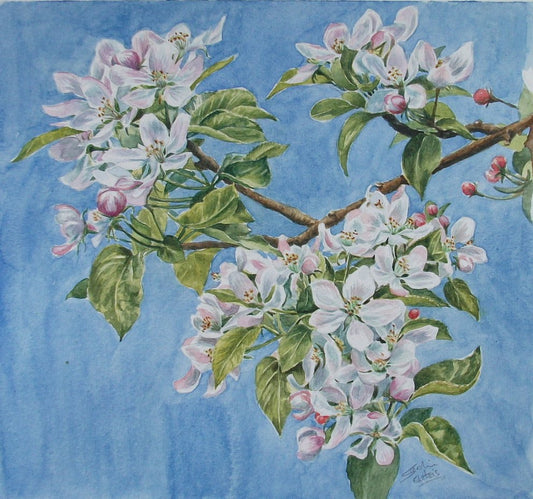 Spring into Summer: Embracing the Season's Warmth