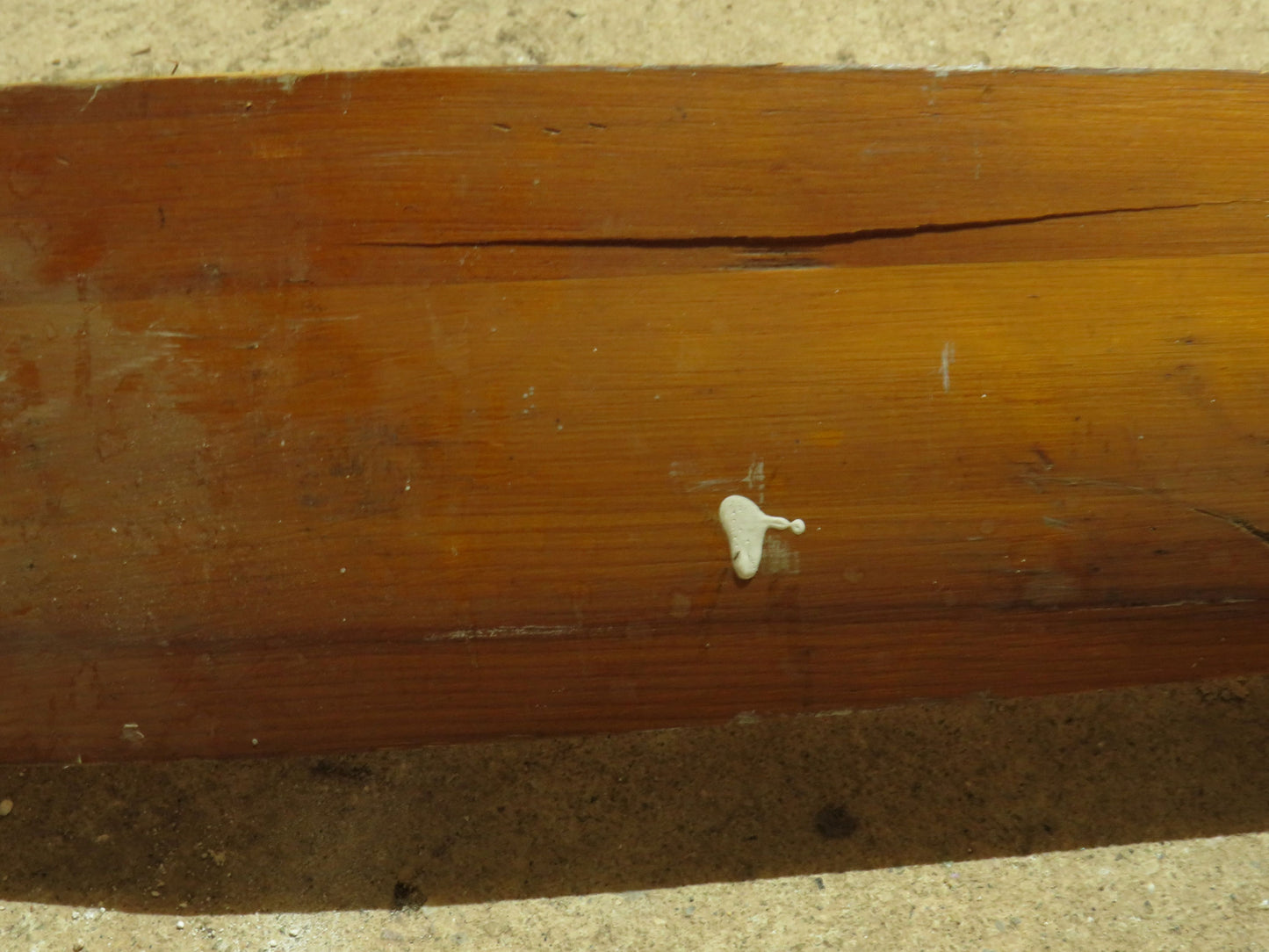 Vintage Oxford Trophy Oar St Edmund Hall Summer Eight 1964 in original condition