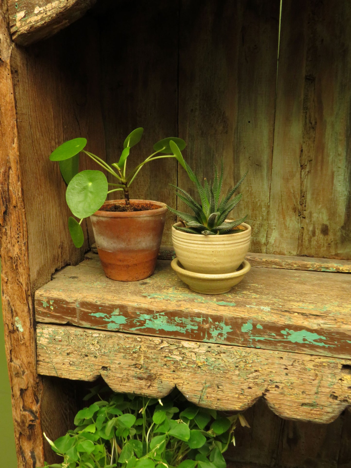 Old Rustic French Gardening Potting Shed Shop Display Hutch