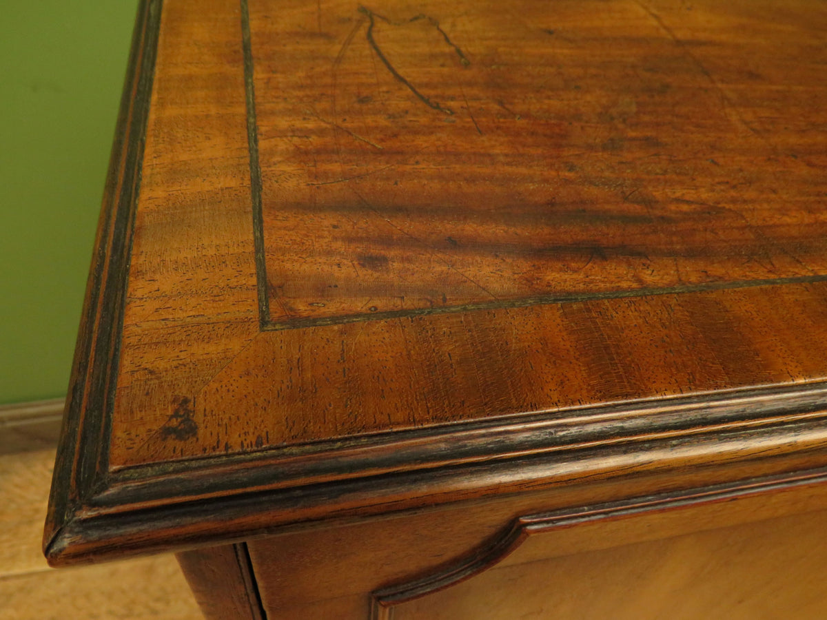 Edwardian Collectors Specimen Cabinet with Internal Drawers