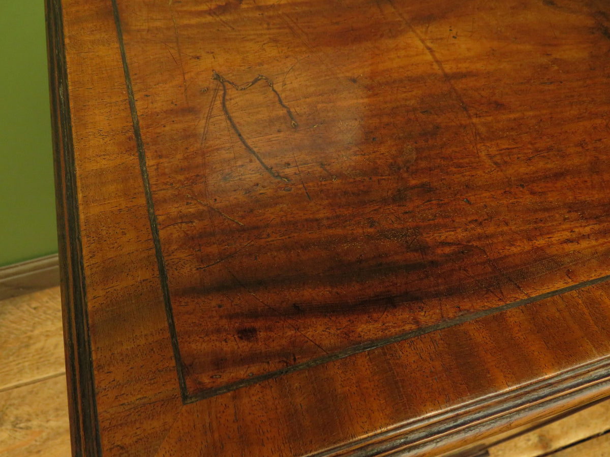 Edwardian Collectors Specimen Cabinet with Internal Drawers