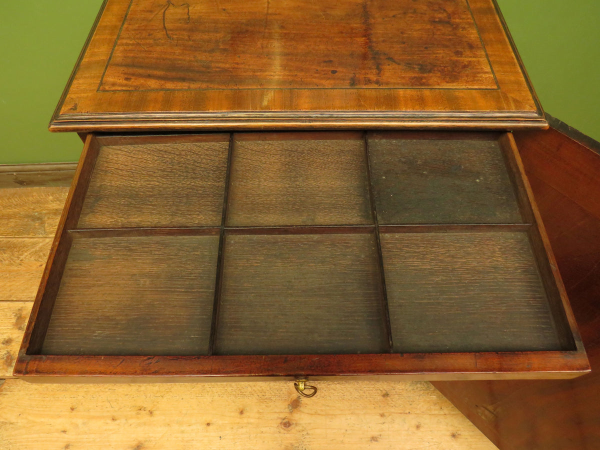 Edwardian Collectors Specimen Cabinet with Internal Drawers