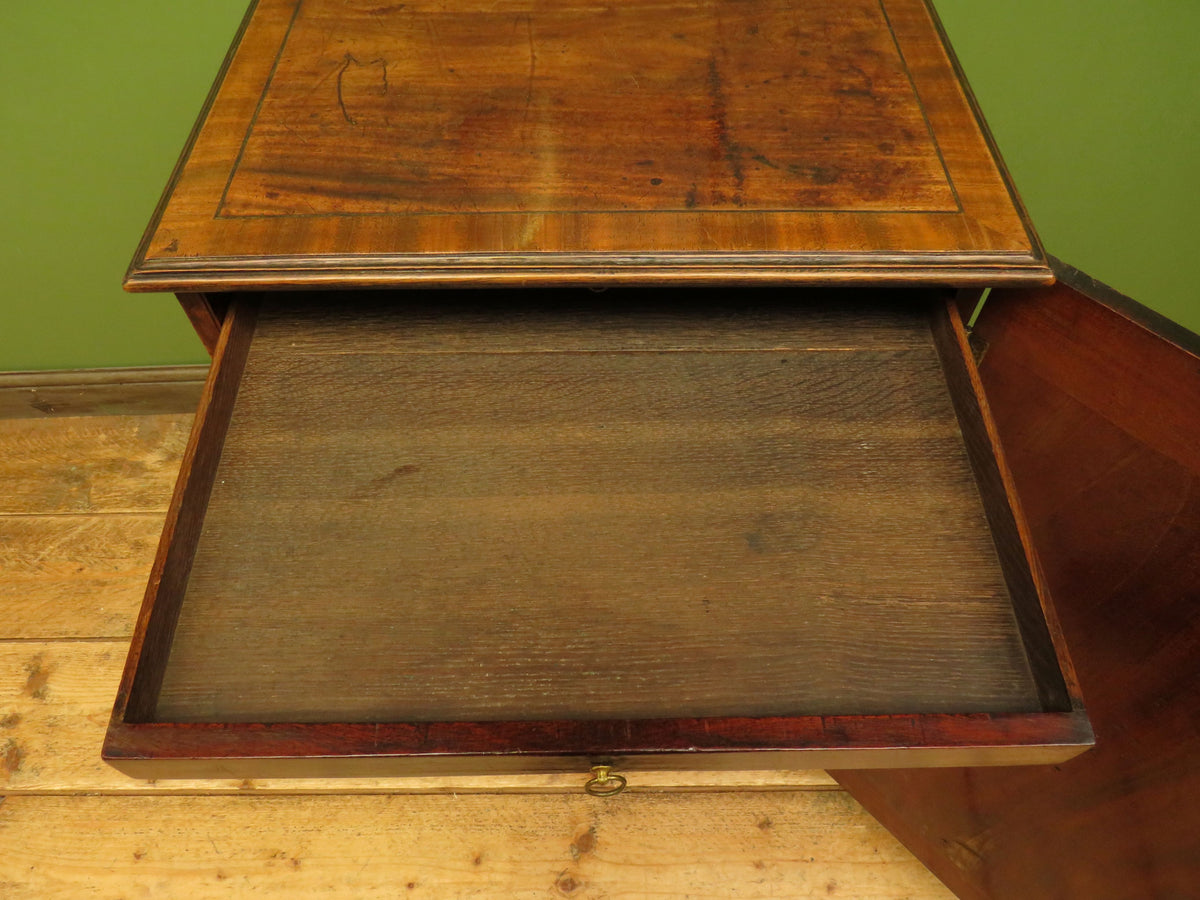 Edwardian Collectors Specimen Cabinet with Internal Drawers