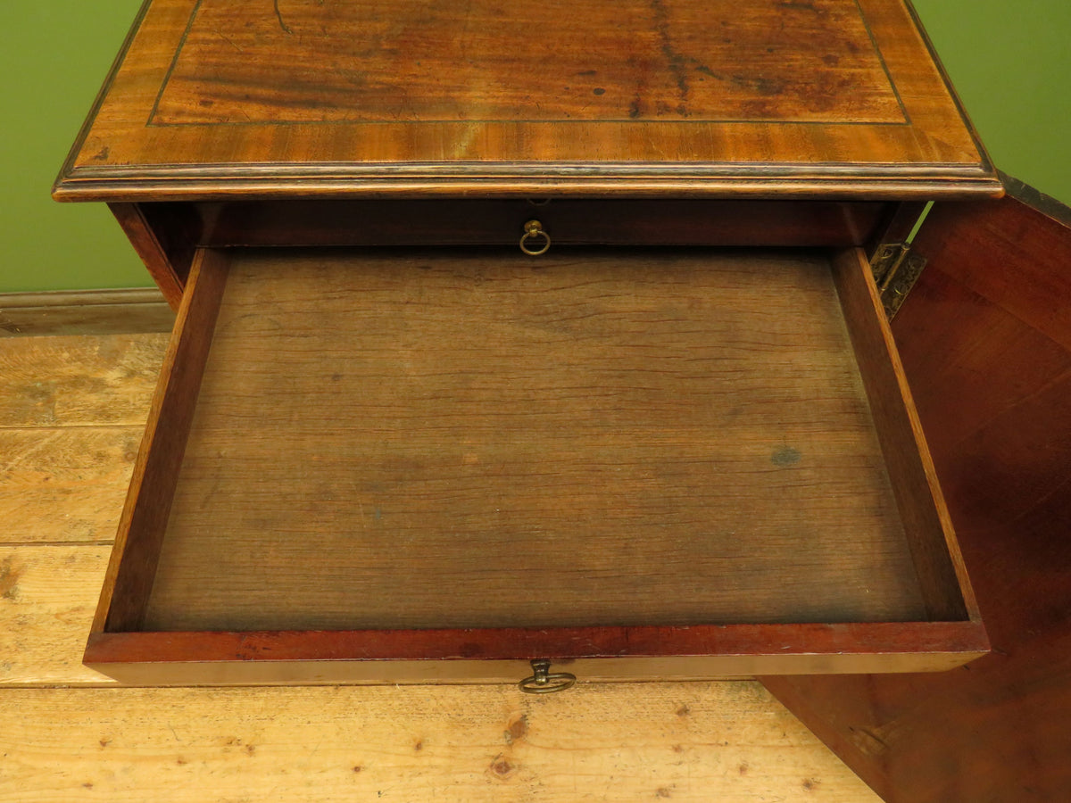 Edwardian Collectors Specimen Cabinet with Internal Drawers