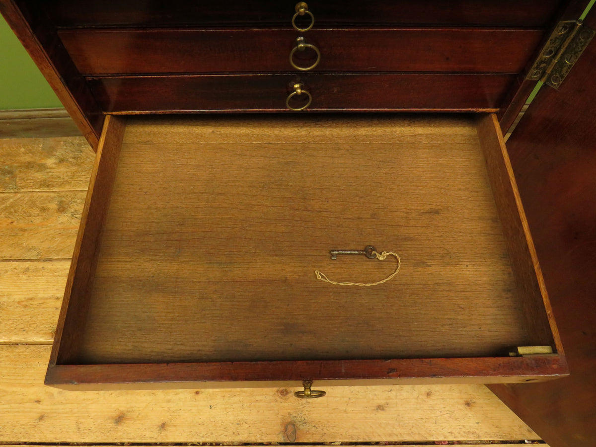 Edwardian Collectors Specimen Cabinet with Internal Drawers