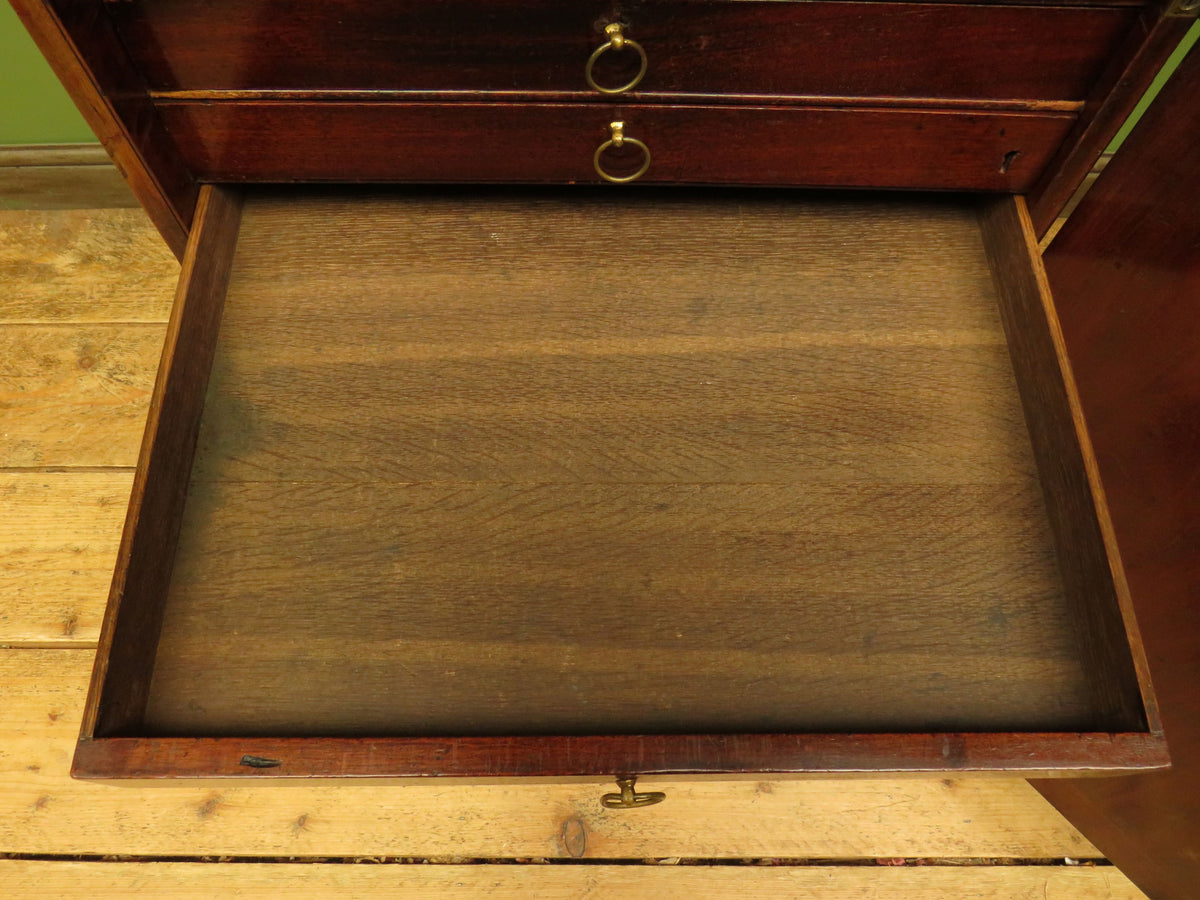 Edwardian Collectors Specimen Cabinet with Internal Drawers