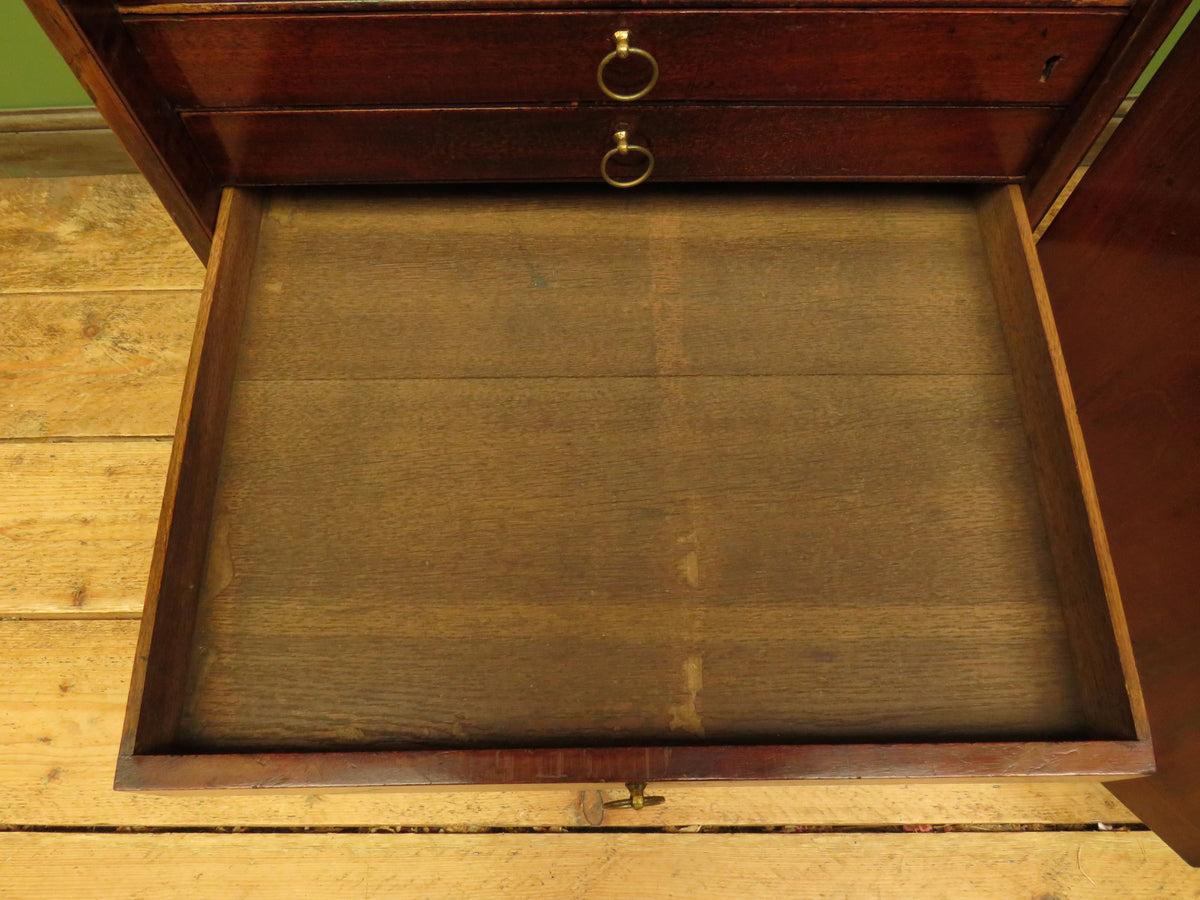 Edwardian Collectors Specimen Cabinet with Internal Drawers