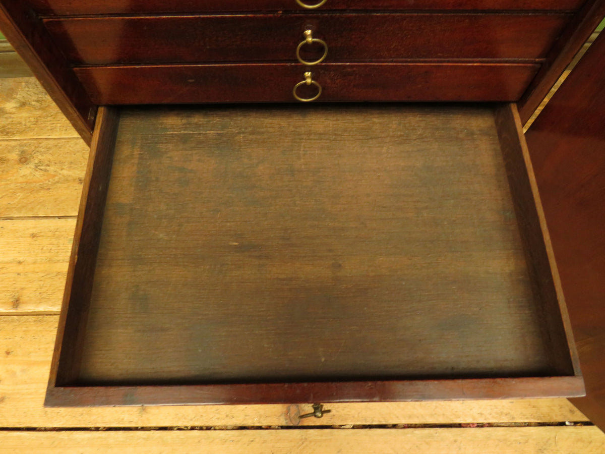 Edwardian Collectors Specimen Cabinet with Internal Drawers