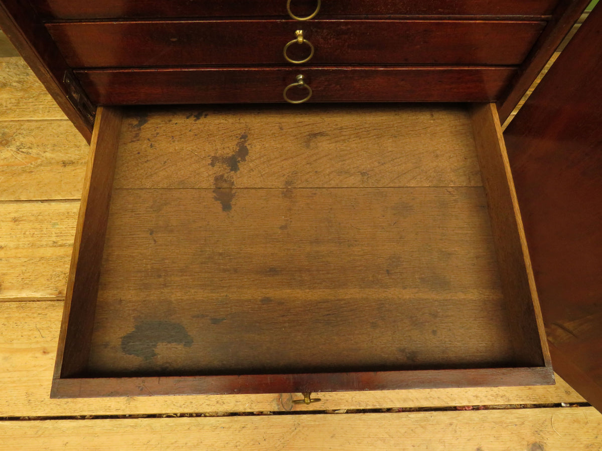 Edwardian Collectors Specimen Cabinet with Internal Drawers