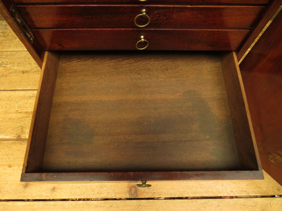 Edwardian Collectors Specimen Cabinet with Internal Drawers