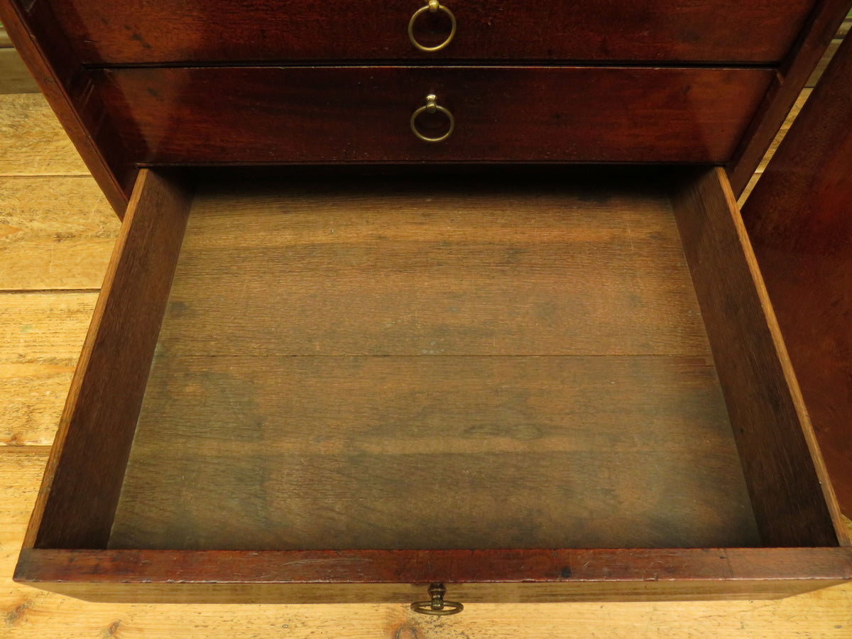 Edwardian Collectors Specimen Cabinet with Internal Drawers