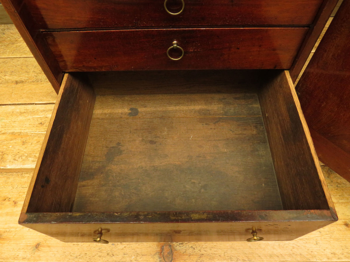 Edwardian Collectors Specimen Cabinet with Internal Drawers