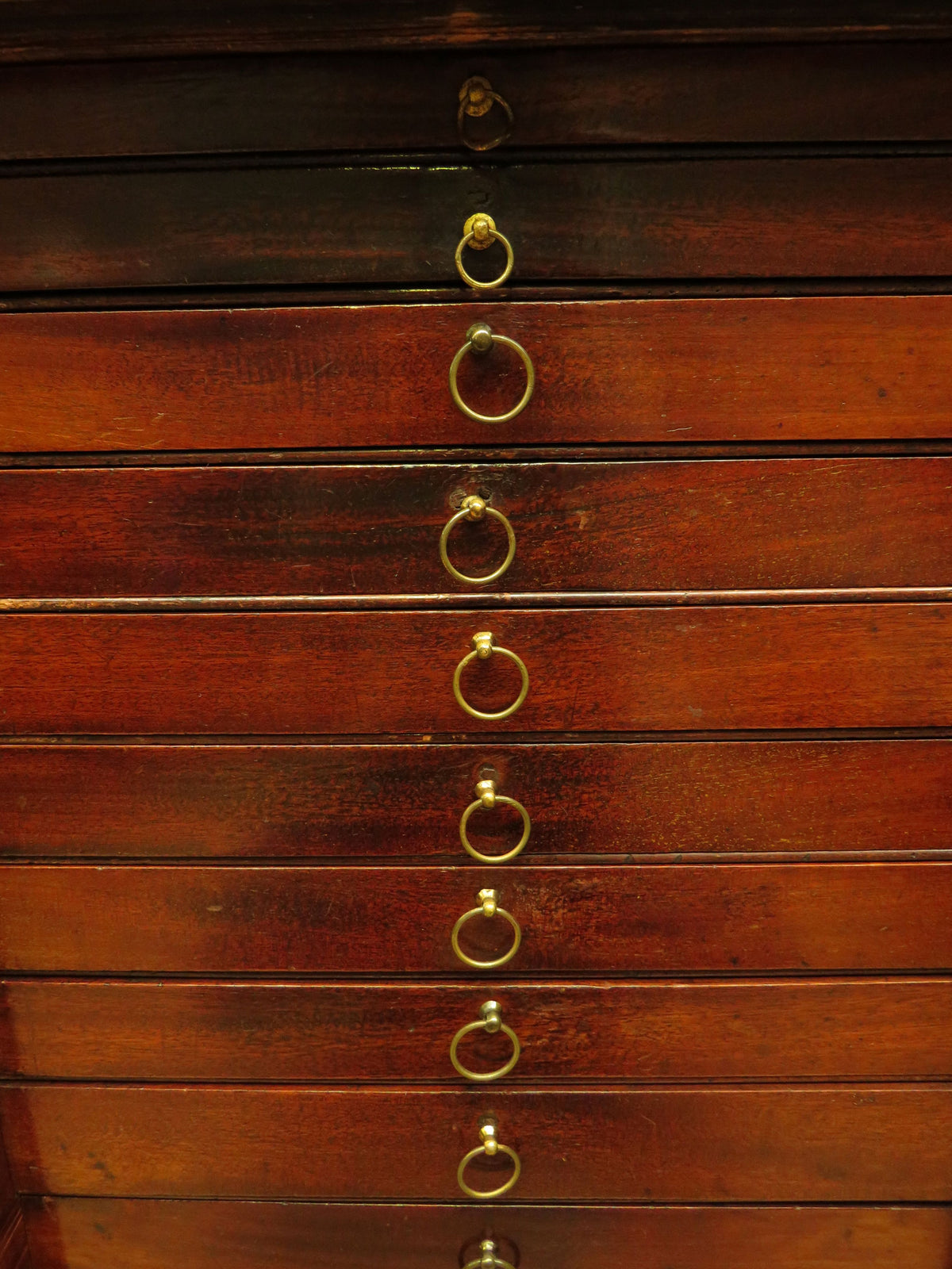 Edwardian Collectors Specimen Cabinet with Internal Drawers