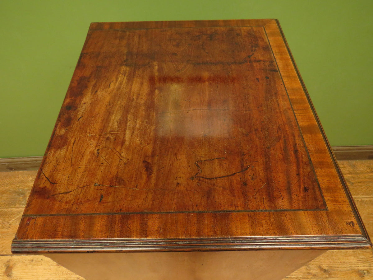 Edwardian Collectors Specimen Cabinet with Internal Drawers