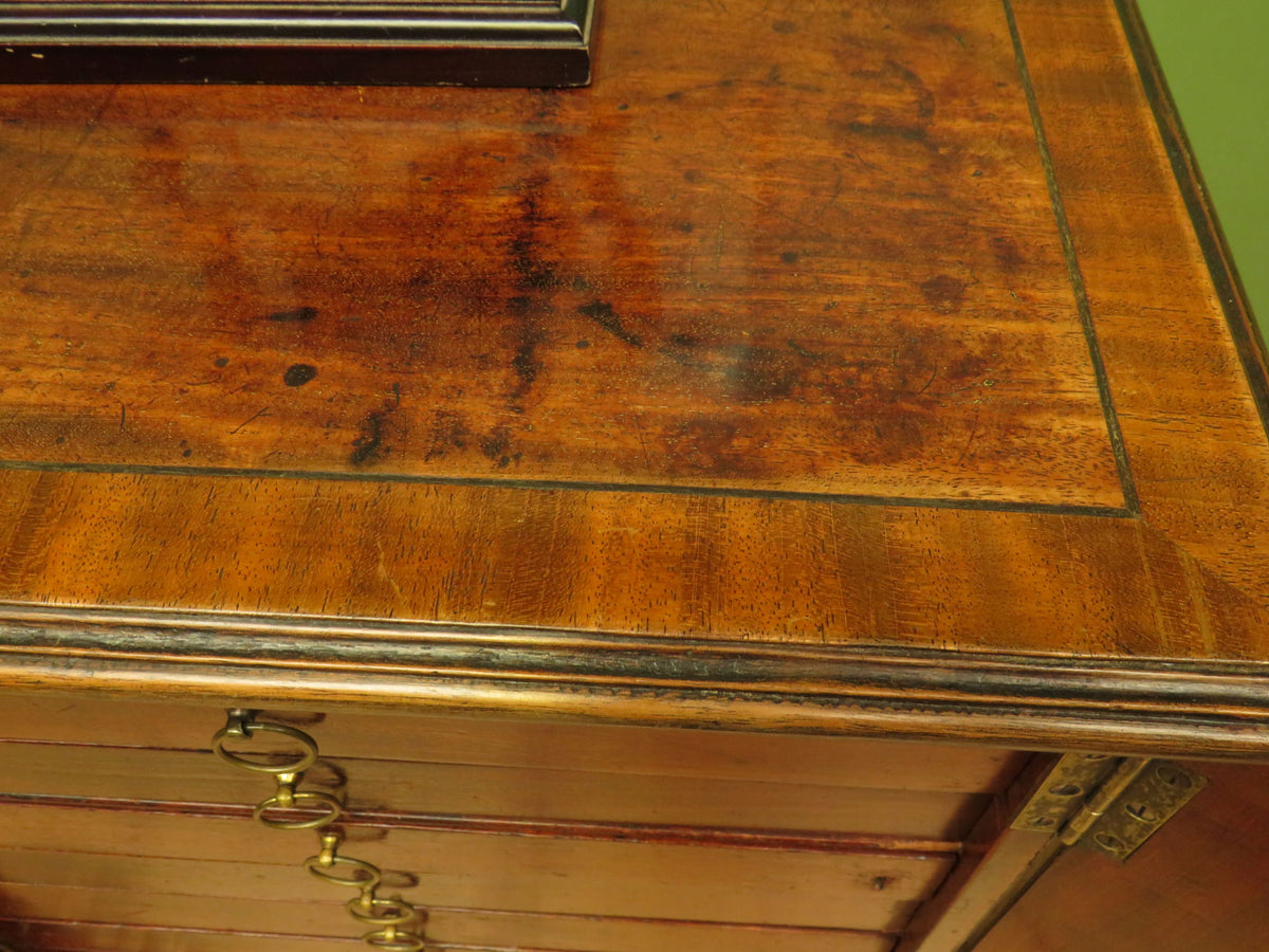 Edwardian Collectors Specimen Cabinet with Internal Drawers
