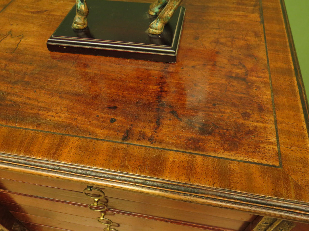 Edwardian Collectors Specimen Cabinet with Internal Drawers